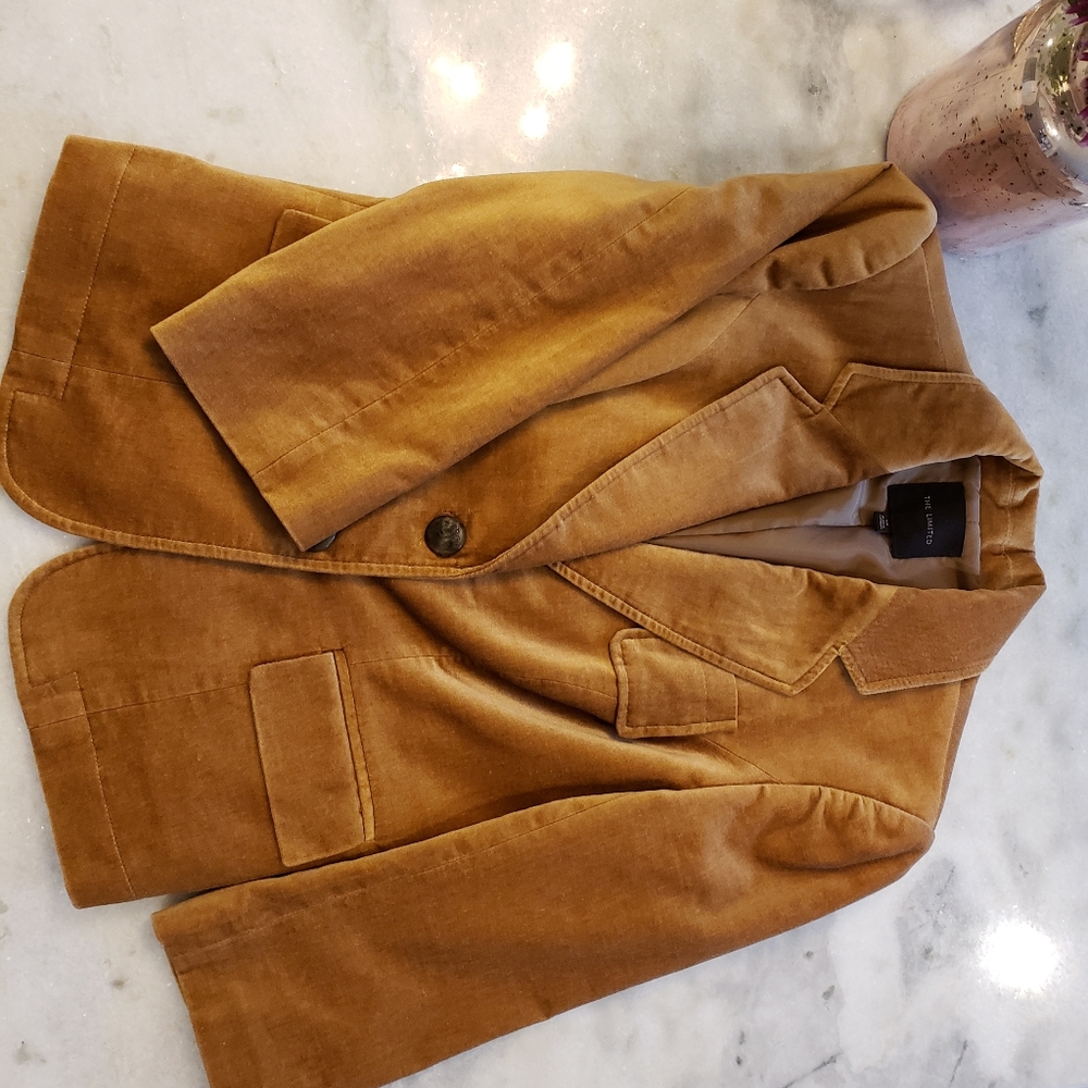 Velvet Blazer